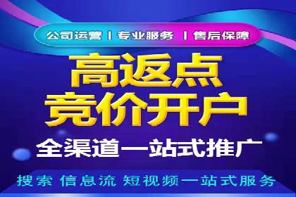 提升转化率：SEM广告投放的实战案例分享